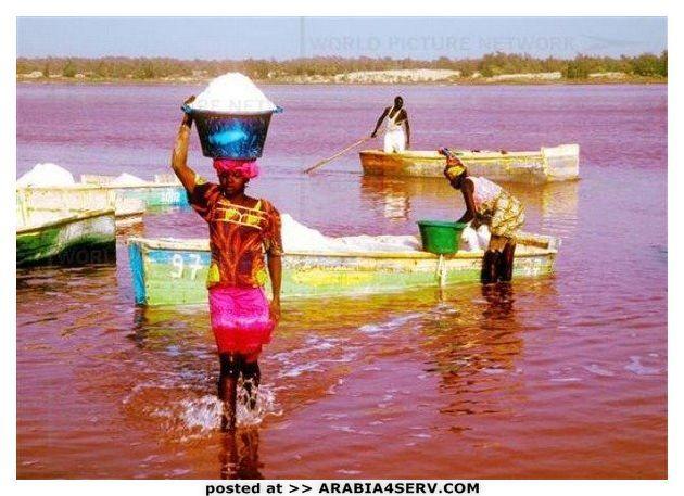 صور البحيرة الوردية